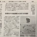 NEWS「でっかく赤ちゃん寝相アート」朝日新聞(2018.10.11)