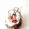 新生児の写真｢生まれたてが素敵｣【ニューボーンフォトの撮り方】